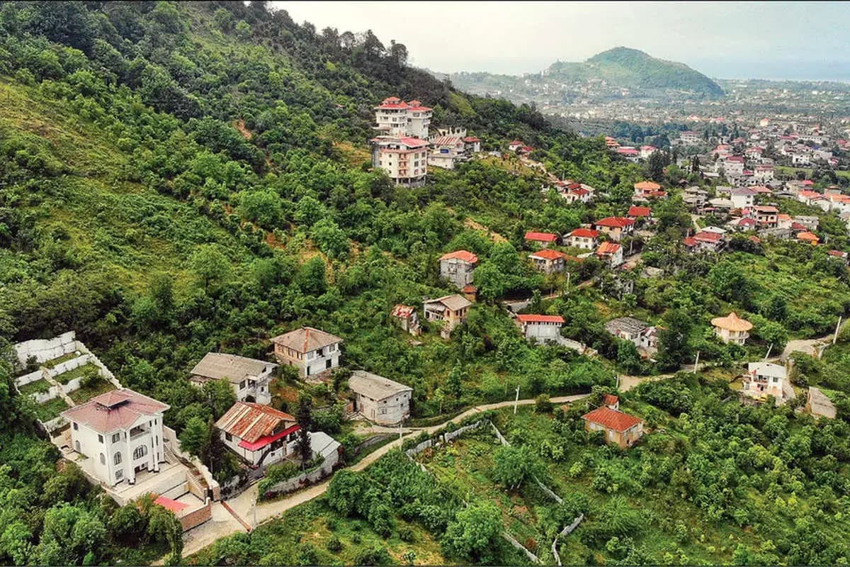 جنگل‌ها؛ قربانیان تقاضای مسکن/ شمال ایران نفس‌های آخر را می کشد؟